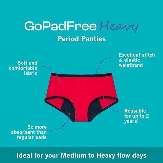 Period Panty Hipster Leak Proof Underwear for Medium to Heavy Flow,Reusable Pack of 2
